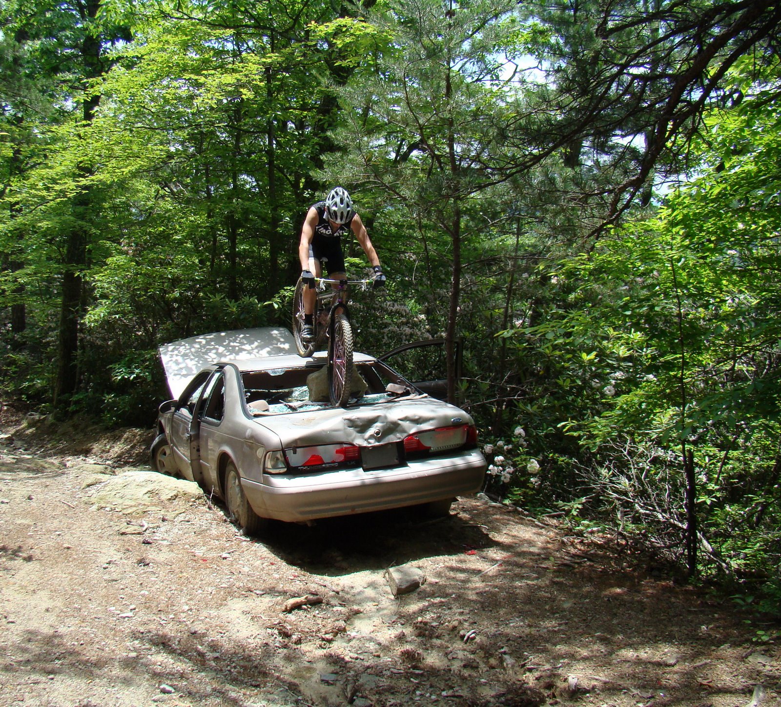 [DSC03012.JPG]