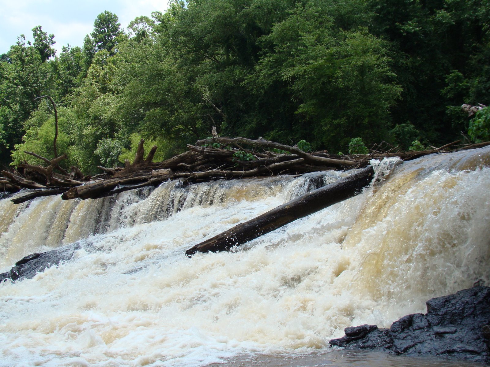 [DSC03246.JPG]