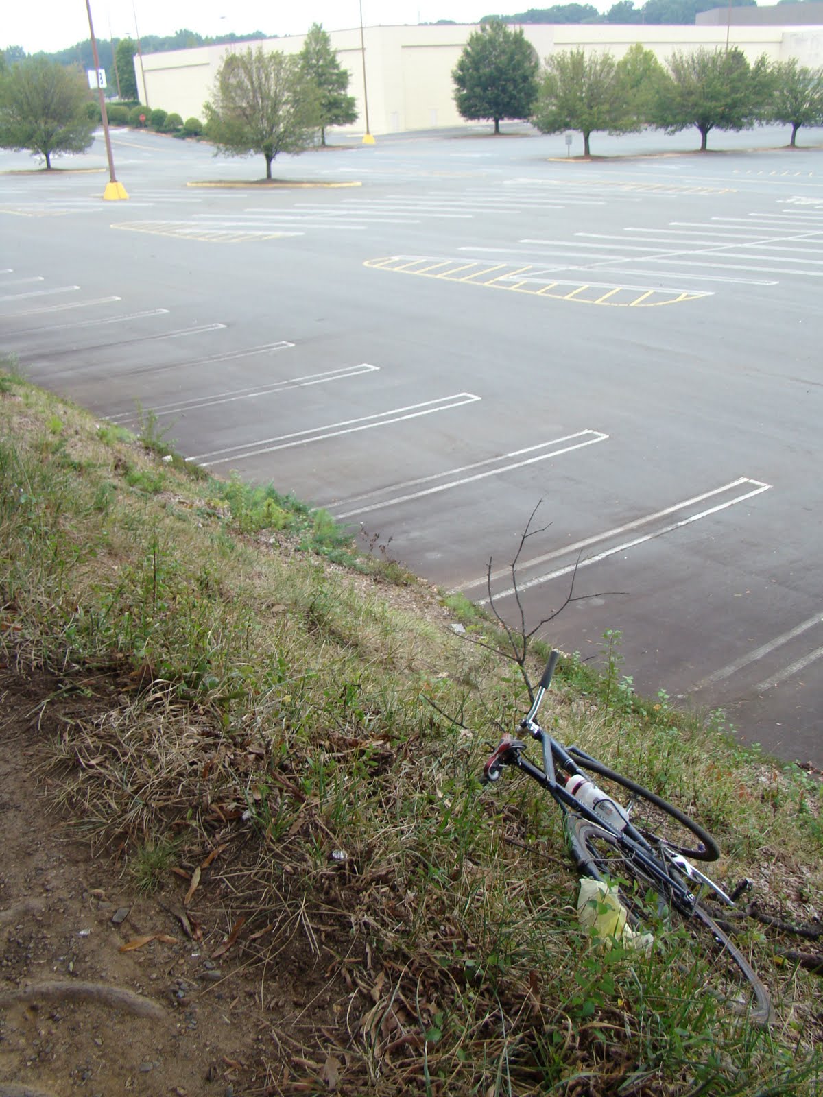 [DSC05035.JPG]