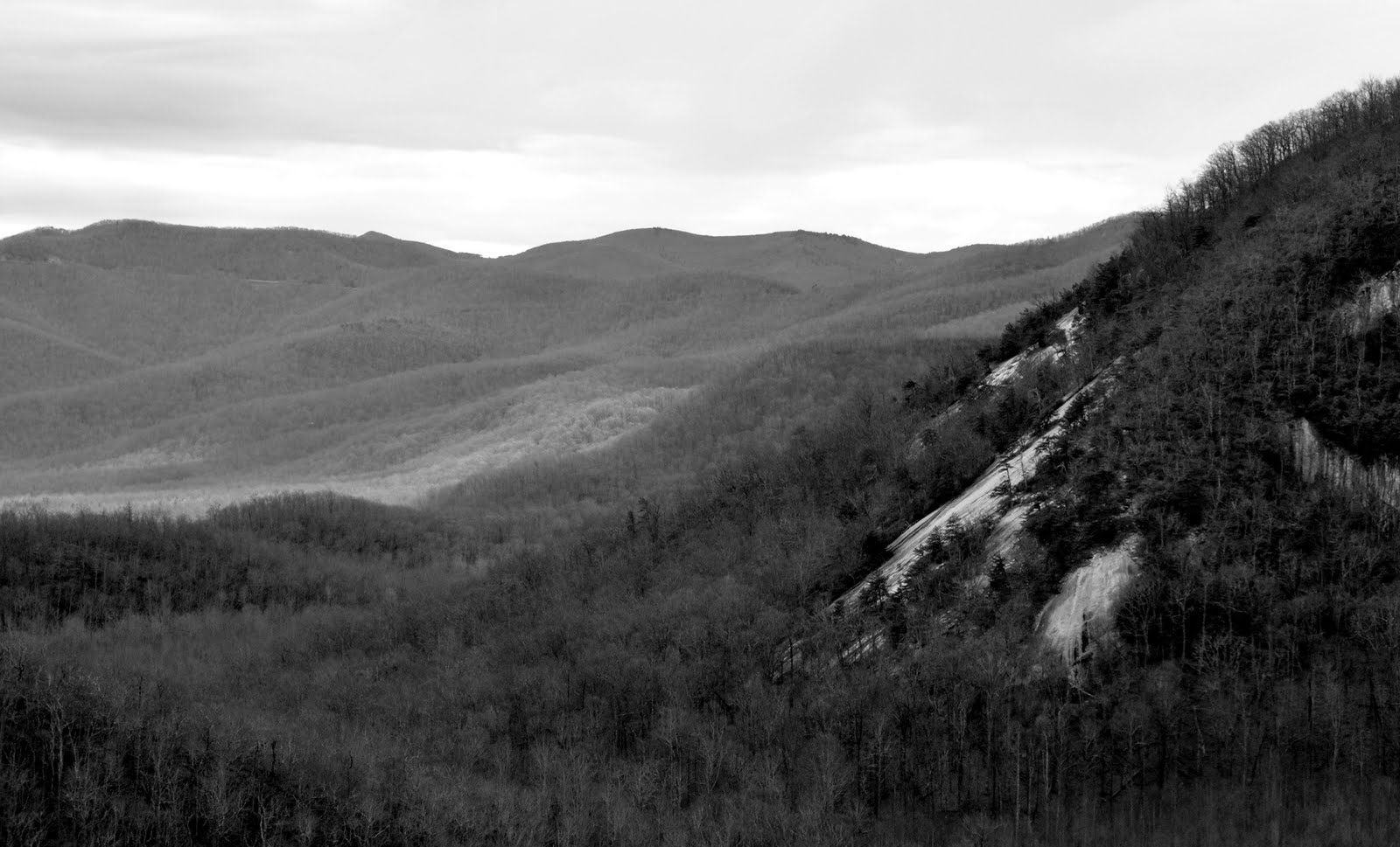 [DSC_0031.JPG]