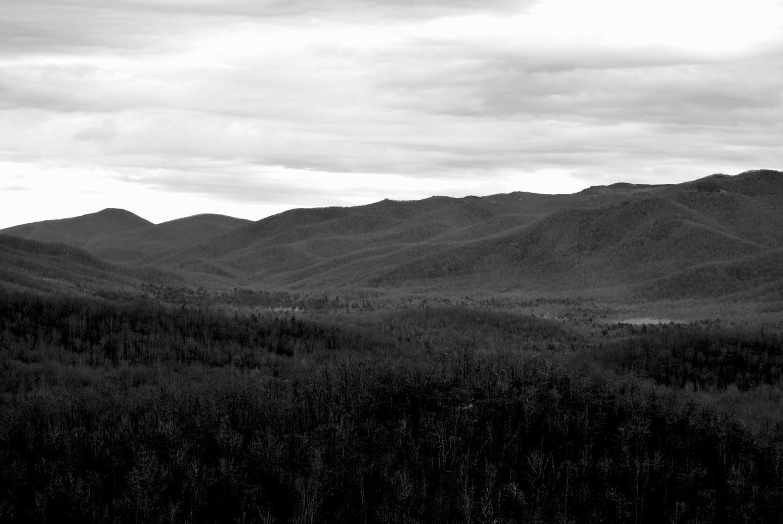 [DSC_0021.JPG]