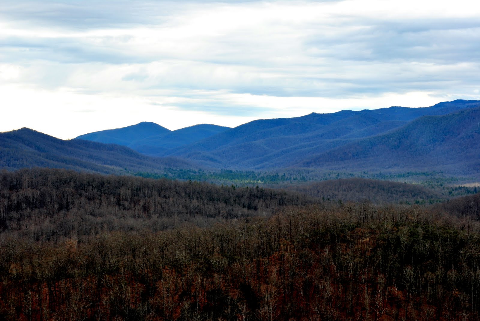 [DSC_0020.JPG]