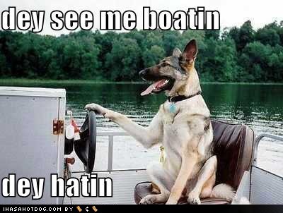 boat dog jokes german shepherd humor offbeat items 343industries boat dog jokes german shepherd humor offbeat items 343industries