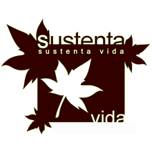 DISEÑO CORPORATIVO