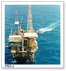 PNA-2