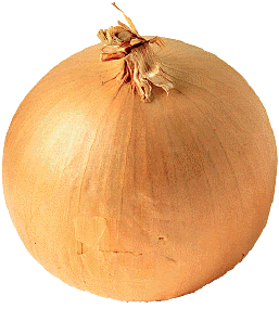[onion.gif]