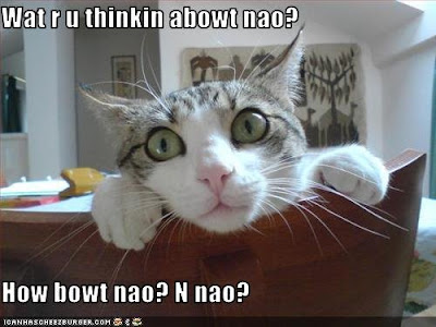Cat peeking over a chair. The caption reads, Wat r u thinkin abowt nao? How bowt nao? N nao?