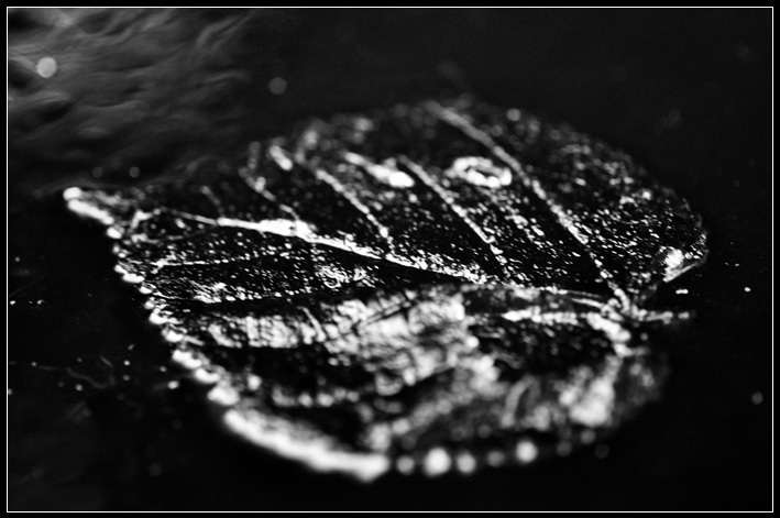 [DSC_8763.jpg]