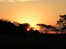 Esse Pantanal é Demais !!!