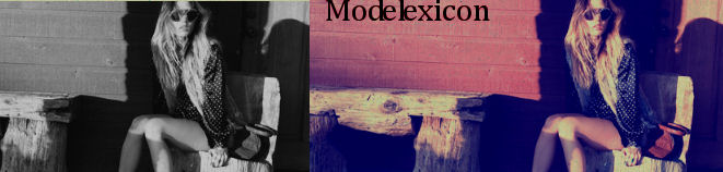 Modelexicon