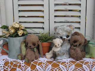 My tiny collection))))))) 