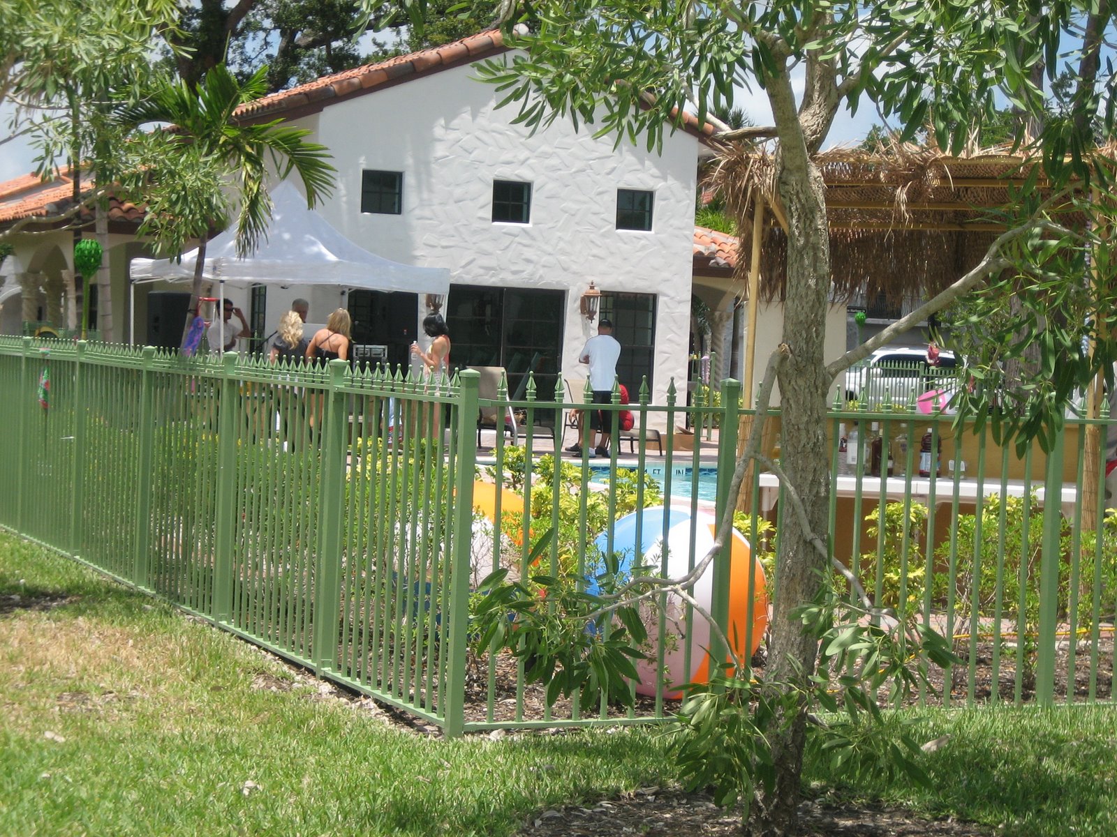 [IMG_2169.JPG]