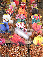 IMG_2252.JPG?width=150