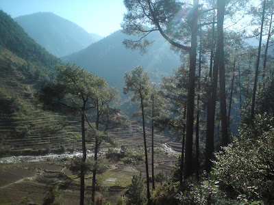 Lovely morning views on the way to Birahi from Uttarkashi