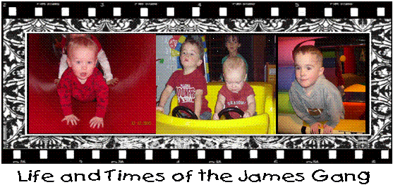 Life and Times of the James Gang