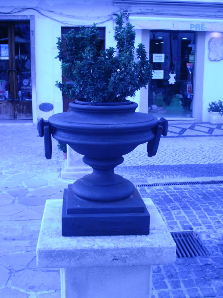 [IMAG0246.JPG]