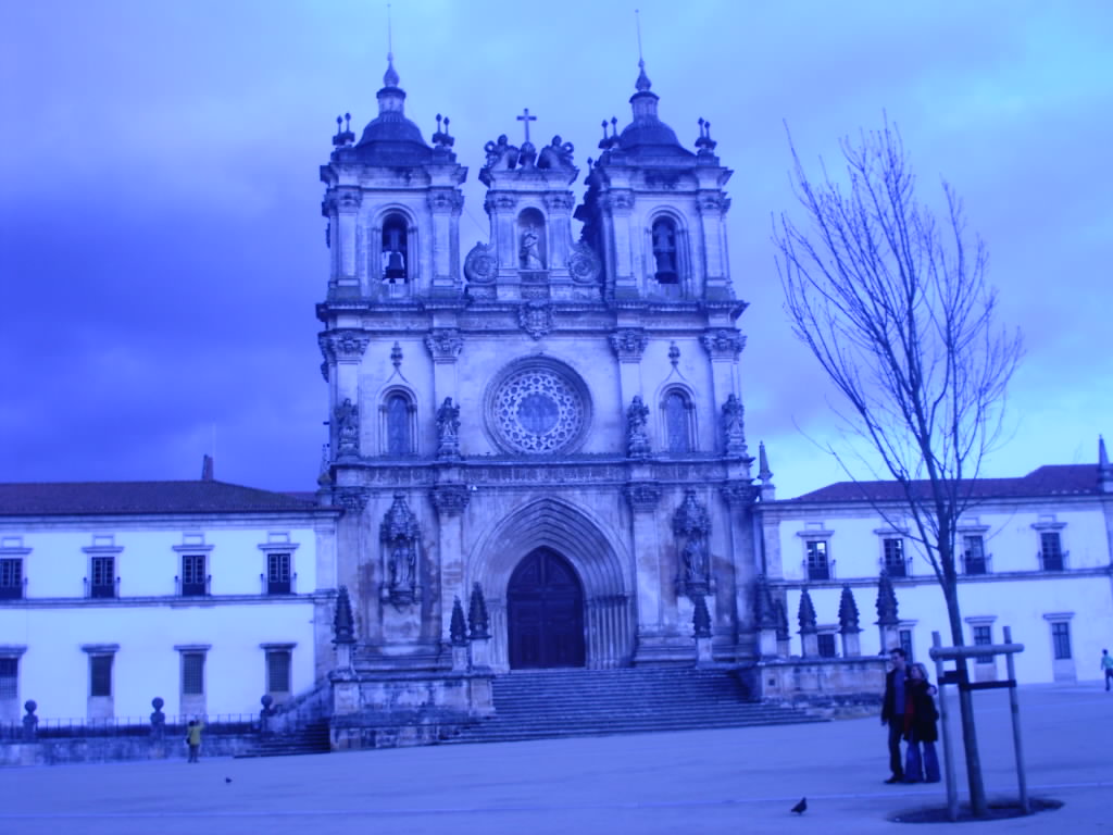 [IMAG0254.JPG]