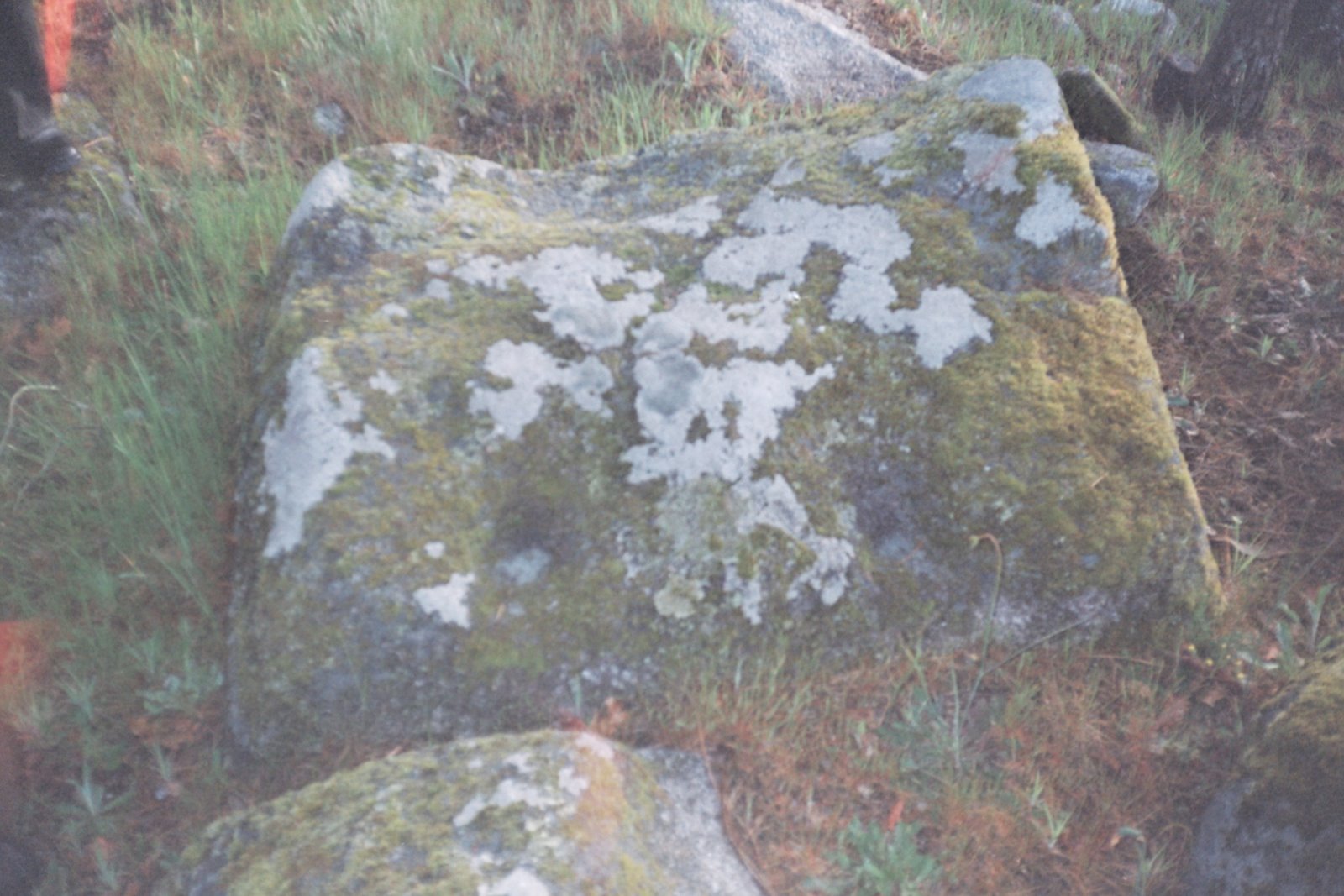 [Negative0-01-XA(1)-2.jpg]