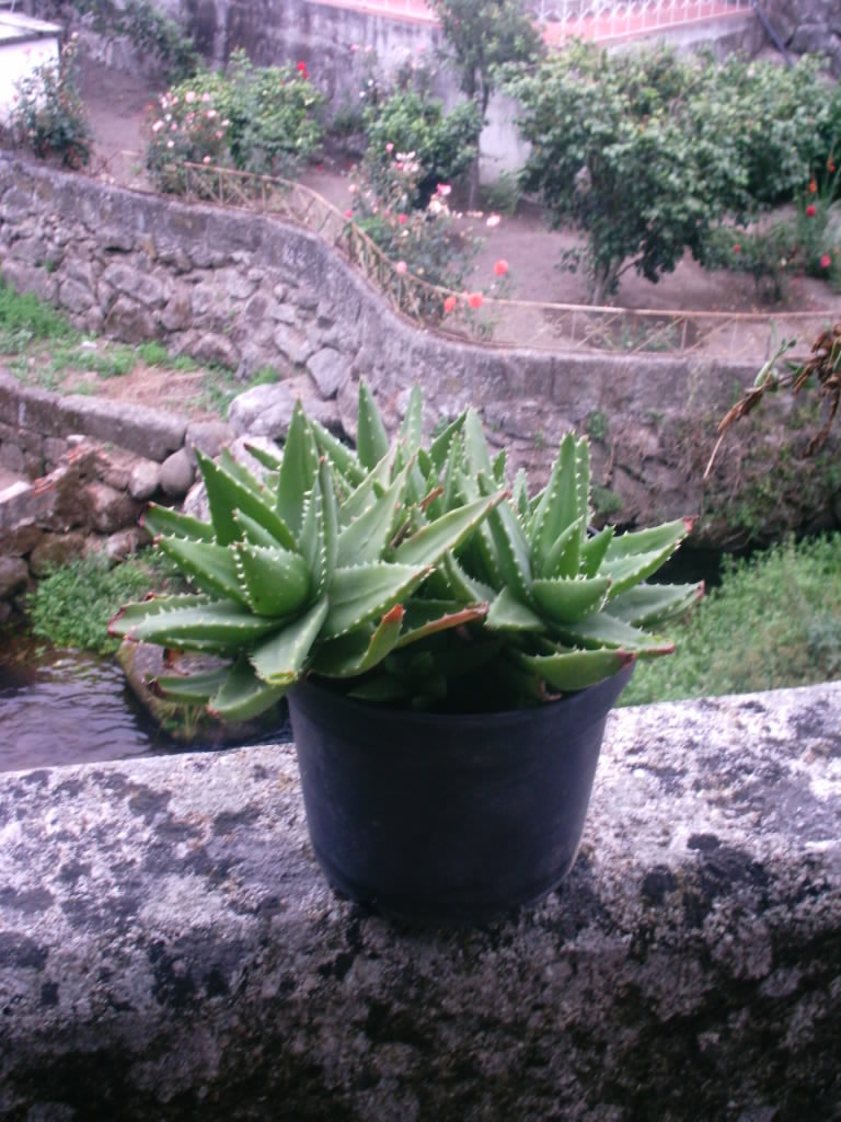 [IMAG0035.JPG]