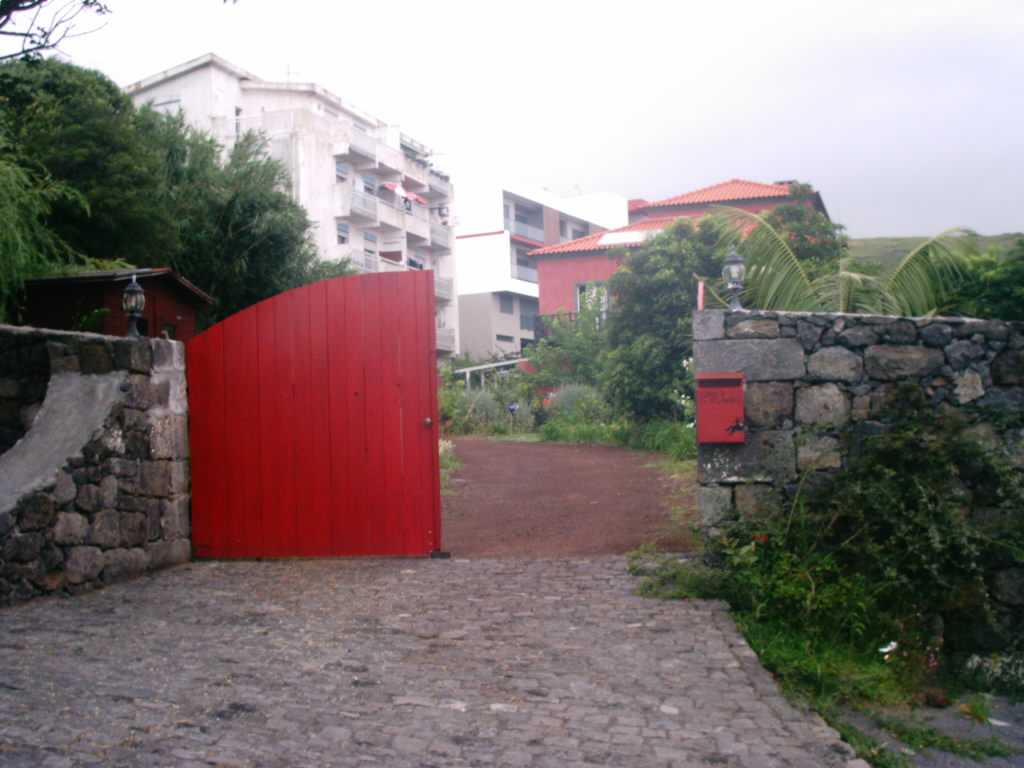 [IMAG0236.JPG]