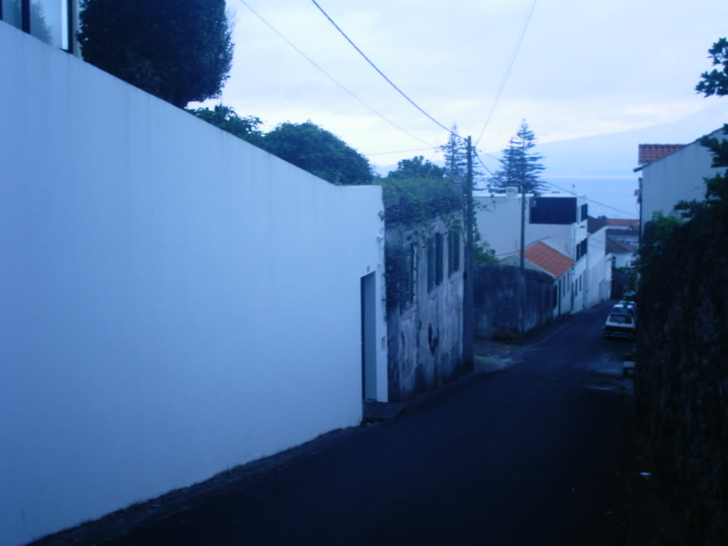 [IMAG0232.JPG]