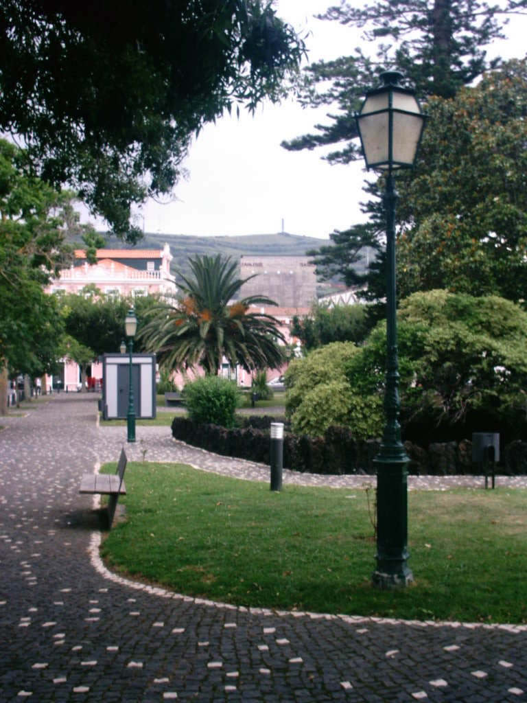 [IMAG0222.JPG]