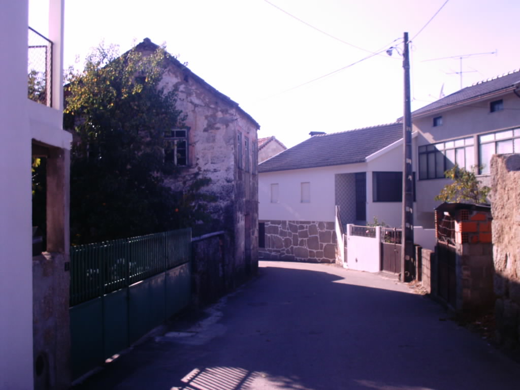 [IMAG0048.JPG]