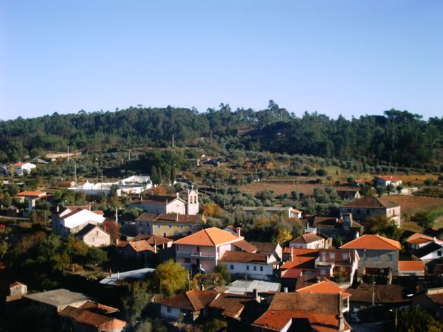[IMAG0111.JPG]