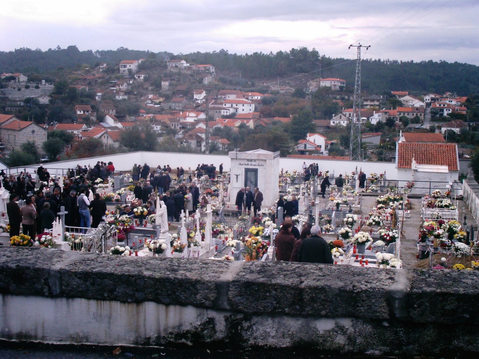 [IMAG0032.JPG]