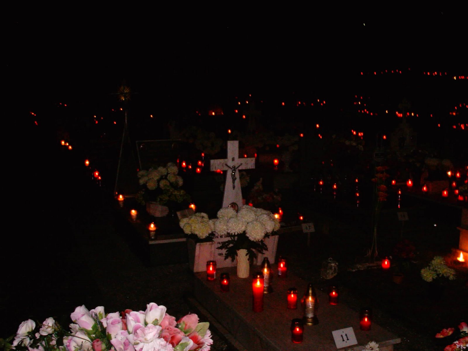[IMAG0039.JPG]