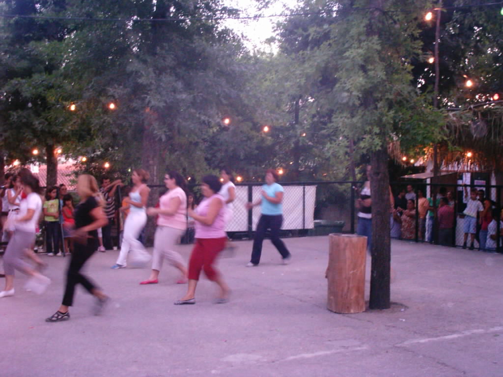 [IMAG0446.JPG]