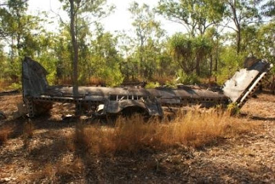 WW11 Plane cash Site