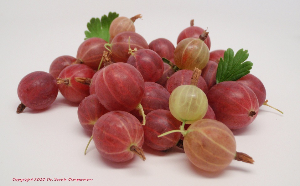 Gooseberries