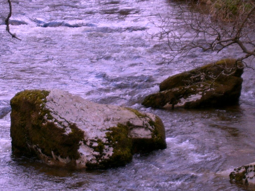 [Rocks+in+Water.jpg]