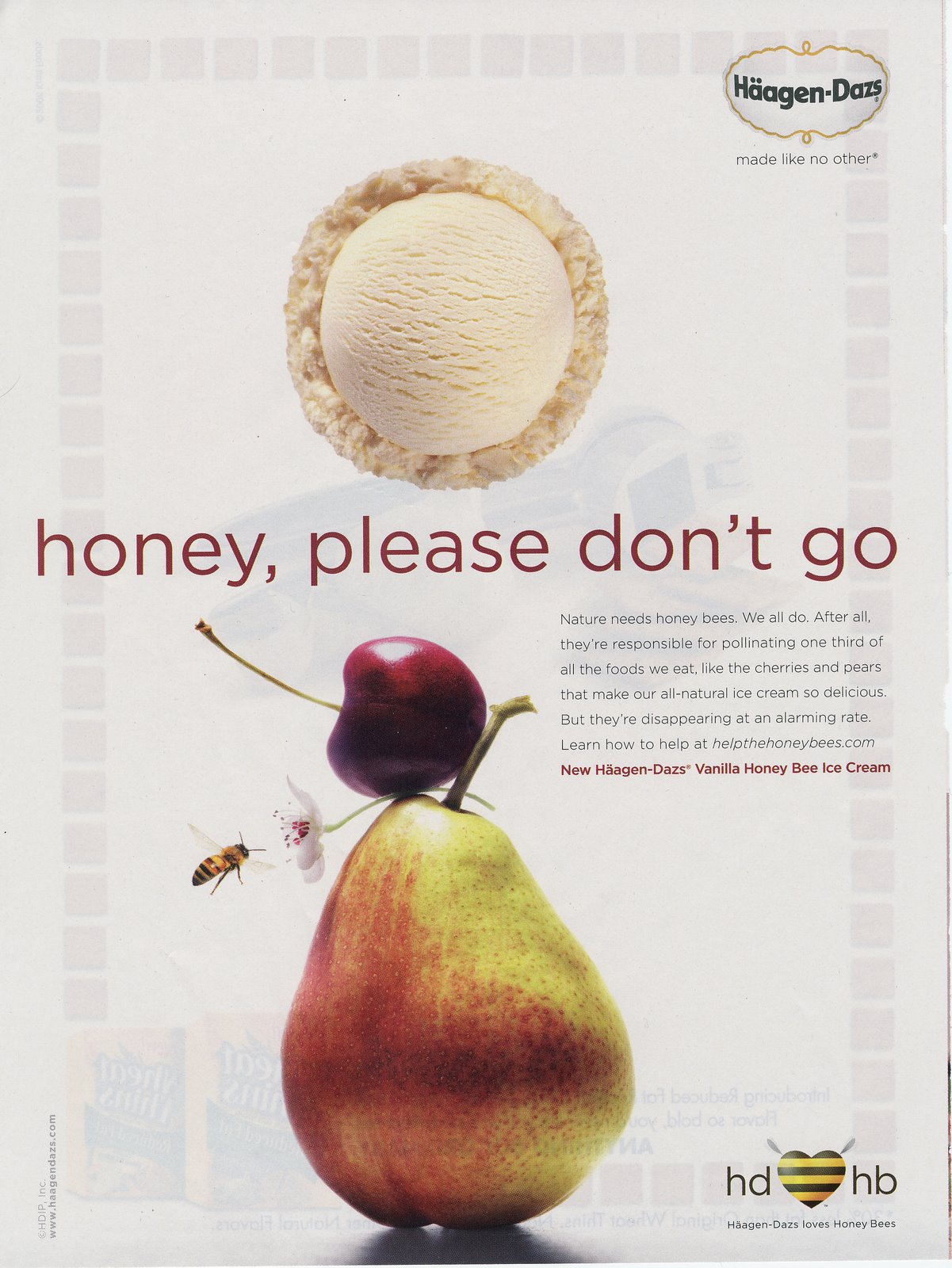 [honeybees.jpg]