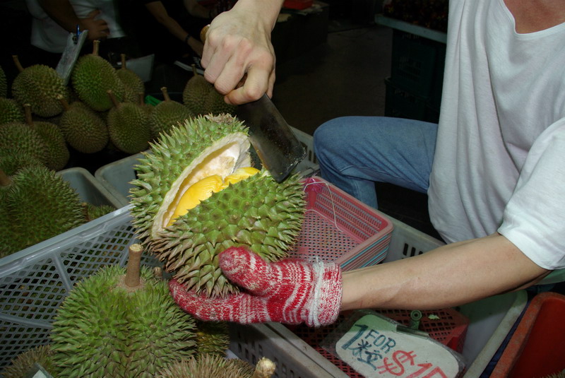 [IMGP3558_resize.JPG]
