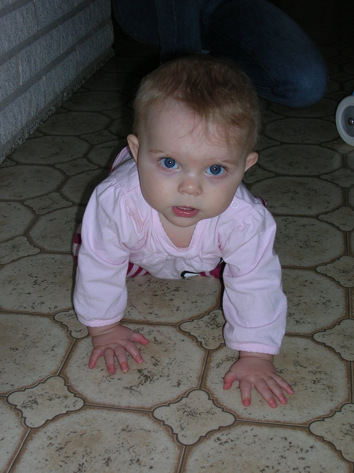 [DSCN1599.JPG]