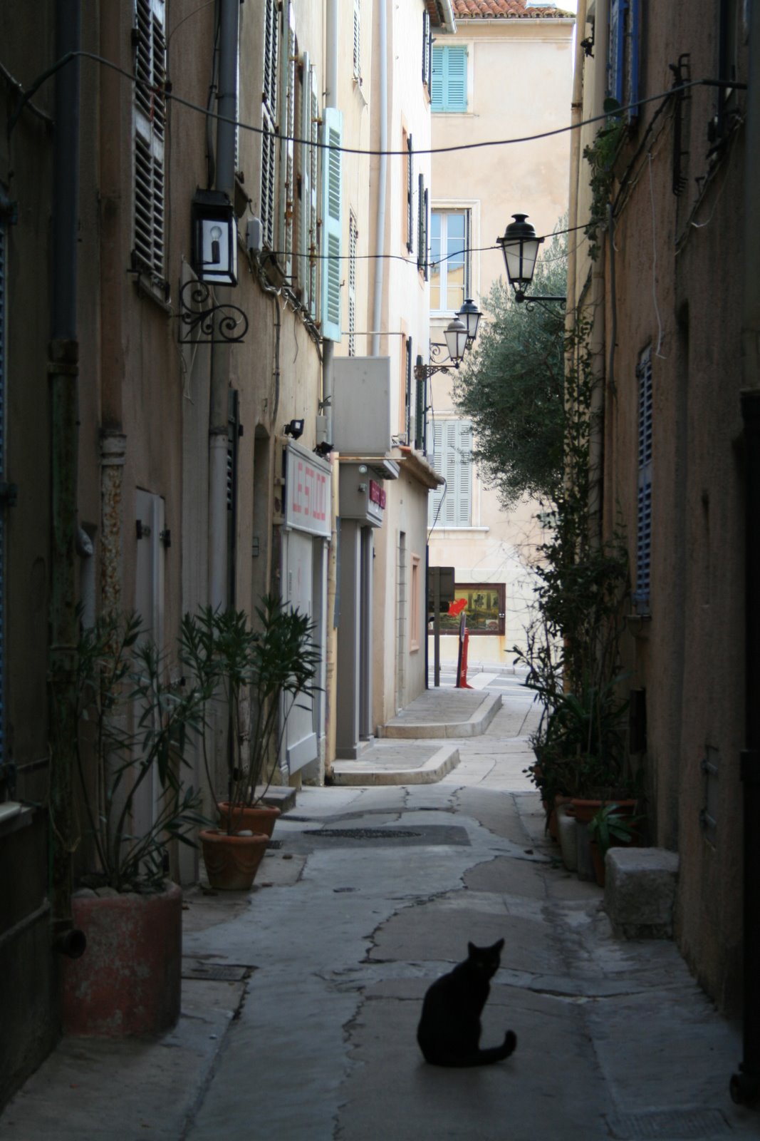 [20081229_4439.JPG]