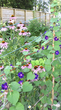 Flowers ~ friends in the garden!