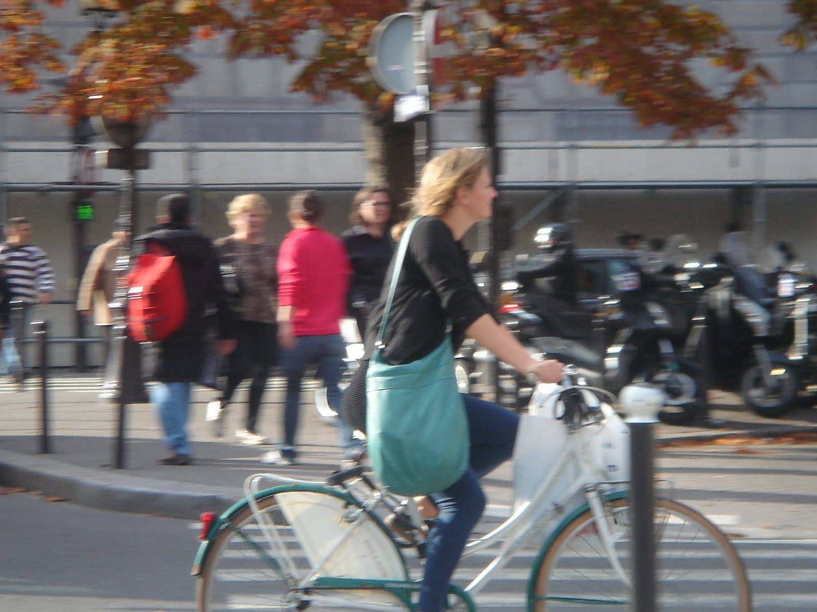 [DSC09315.JPG]