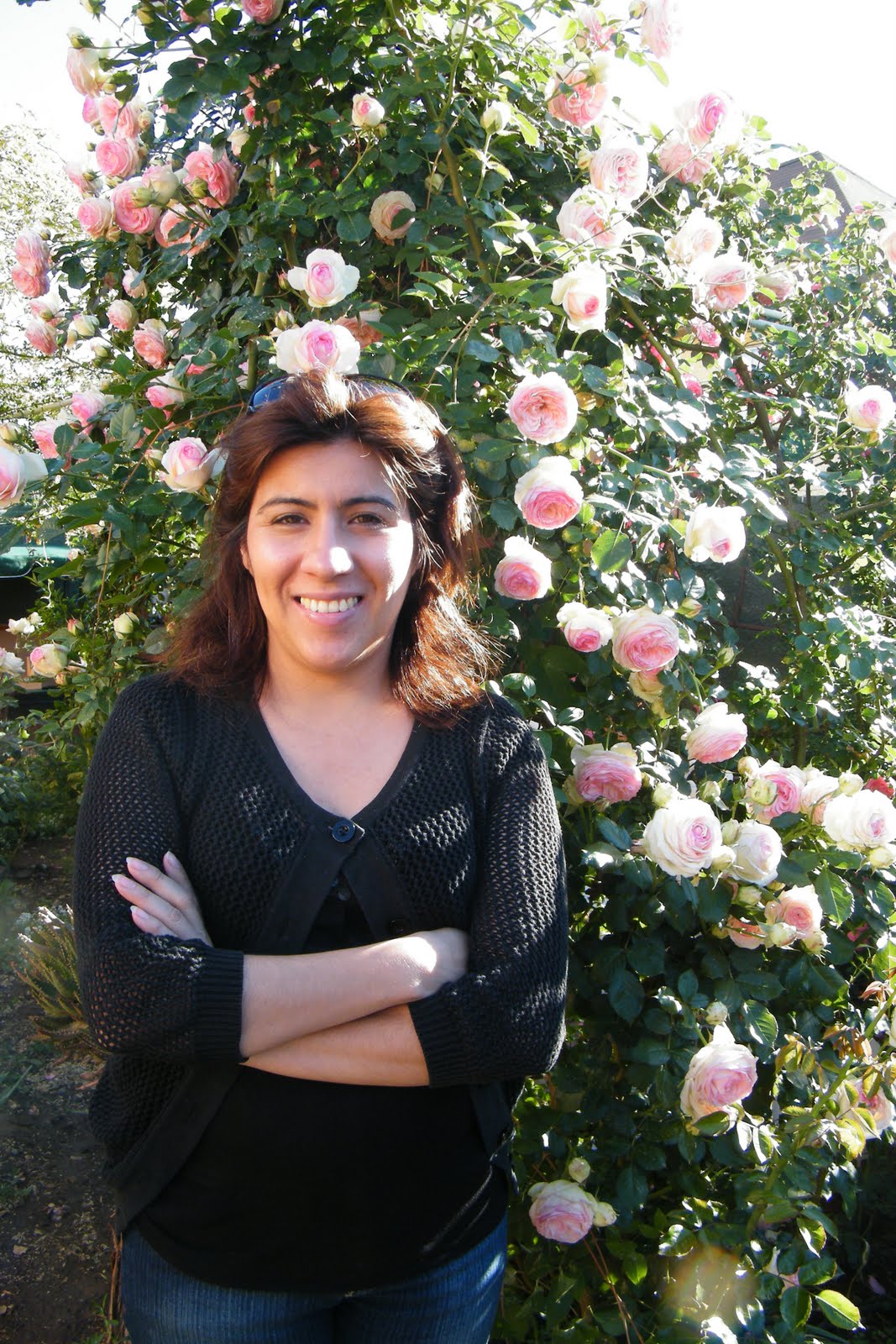 Una simple flor me da vida.: octubre 2010