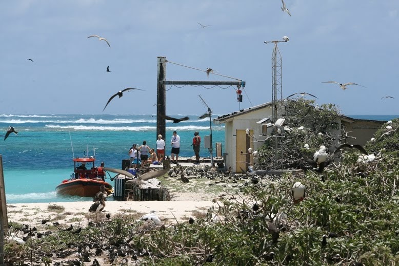 Tern Island Times Disappearing Island and Visitors