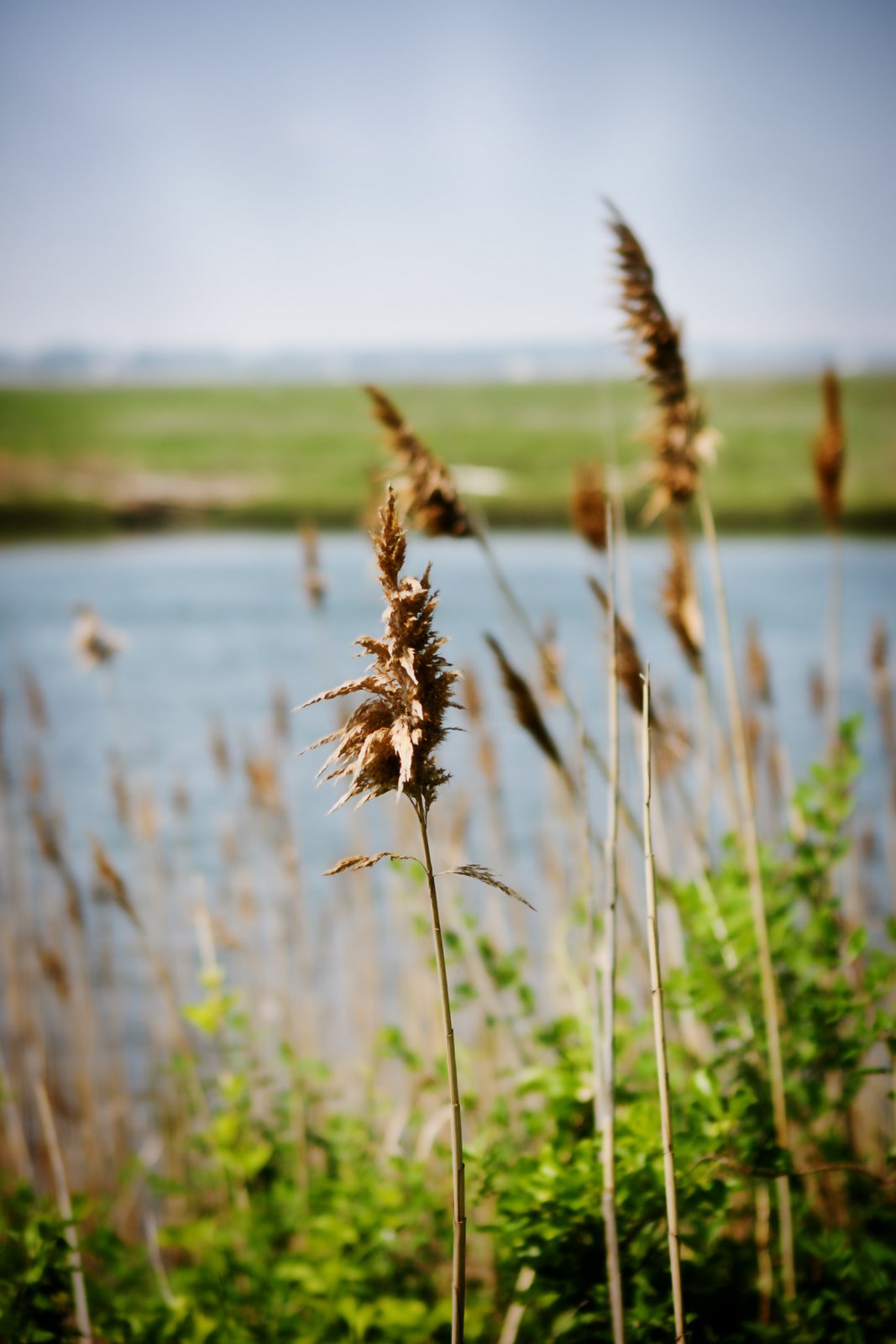 [IMG_5957-Edit.jpg]