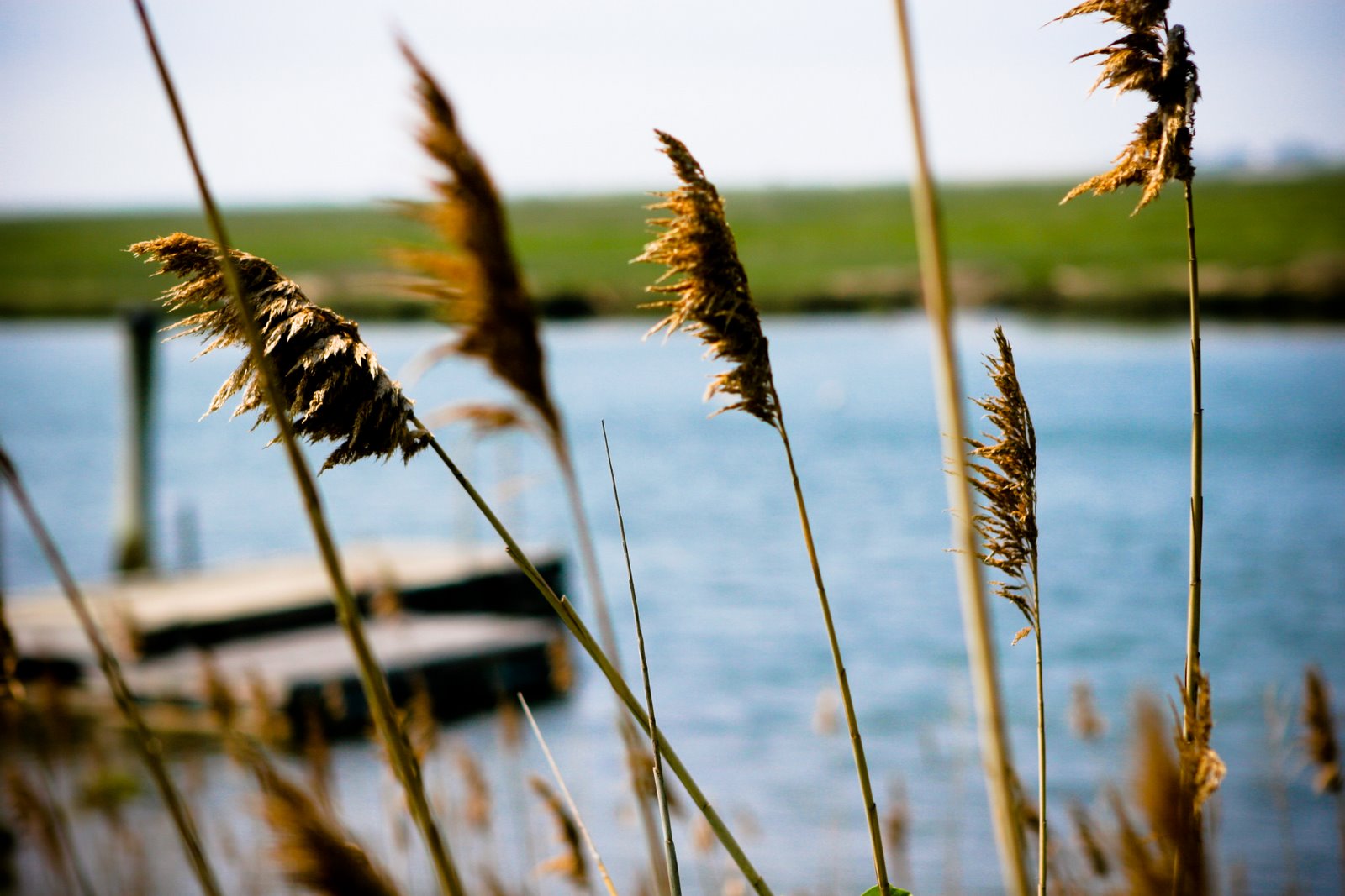 [IMG_5956-Edit.jpg]