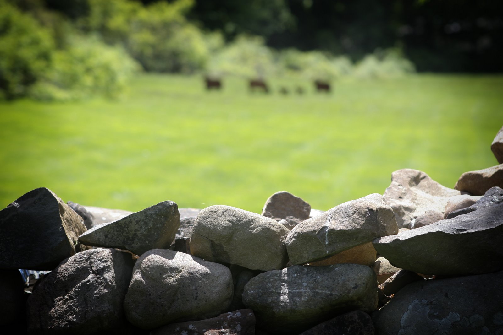 [IMG_5370-Edit.jpg]
