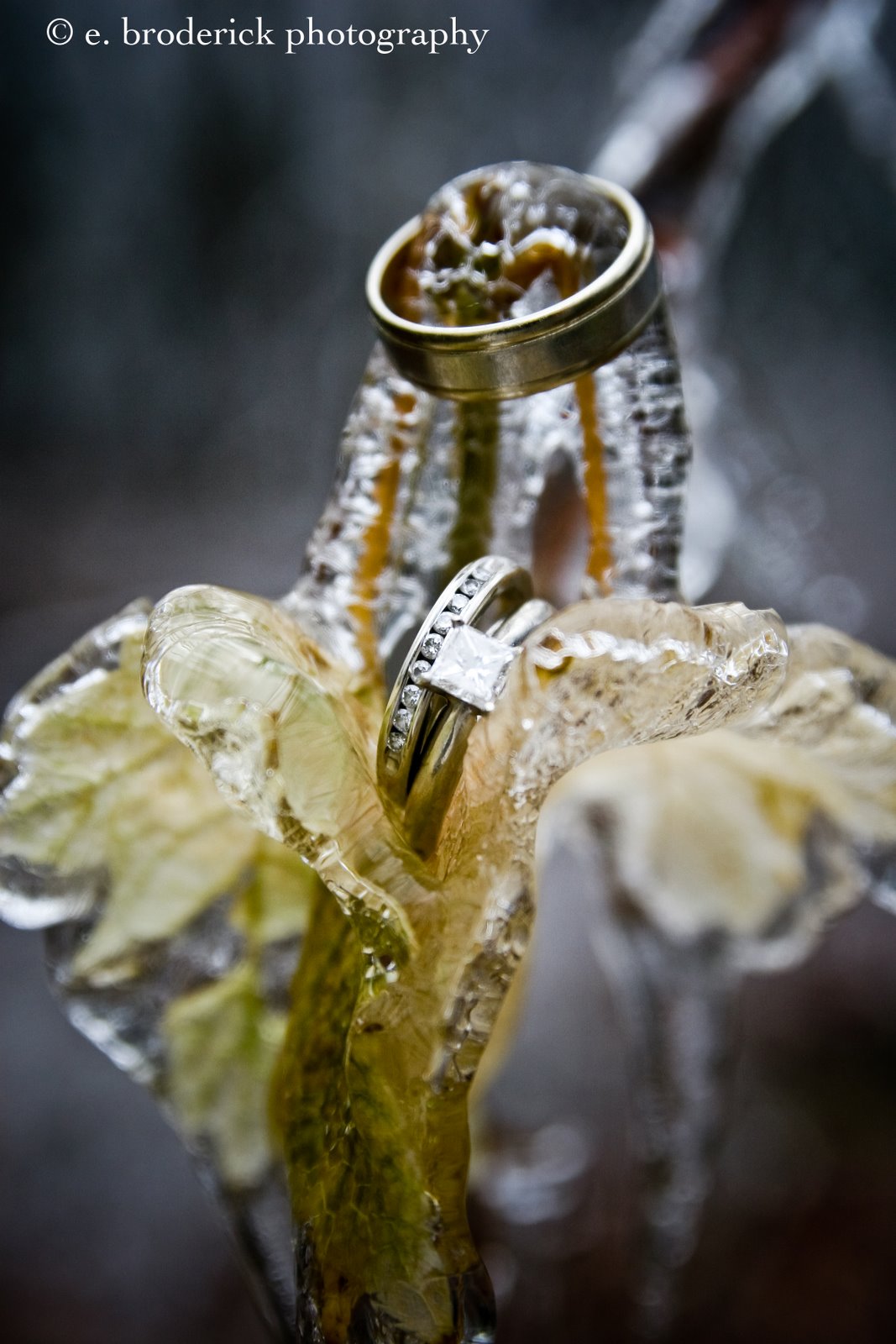 [IMG_6677.jpg]