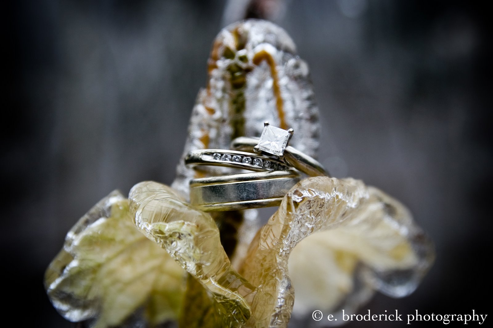 [IMG_6691-Edit.jpg]