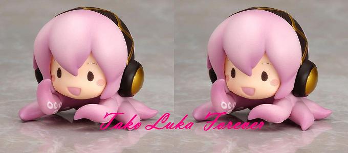 Tako Luka Forever