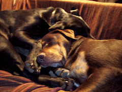 Sleepin' like dogs!