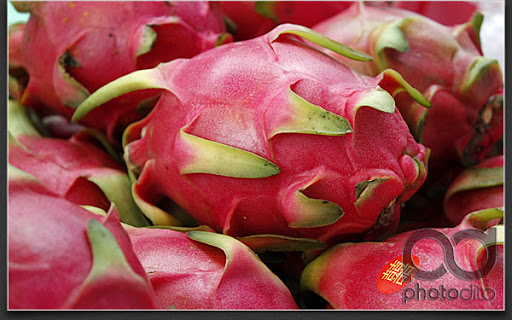 Dragon+fruit+seeds
